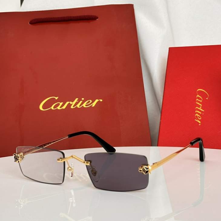 Picture of Cartier Sunglasses _SKUfw79479293fw